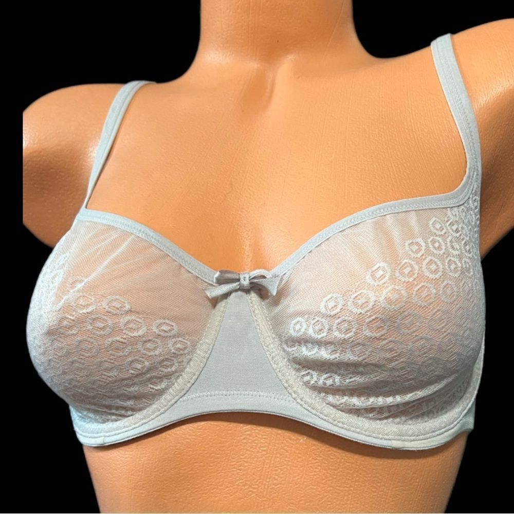 Victoria’s Secret Dream Sexy mesh Unlined Balconett bra gray 34D